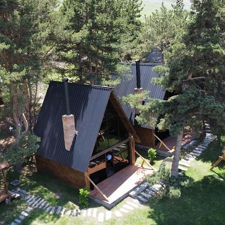 Elia Loft Villa Kazbegi Dış mekan fotoğraf